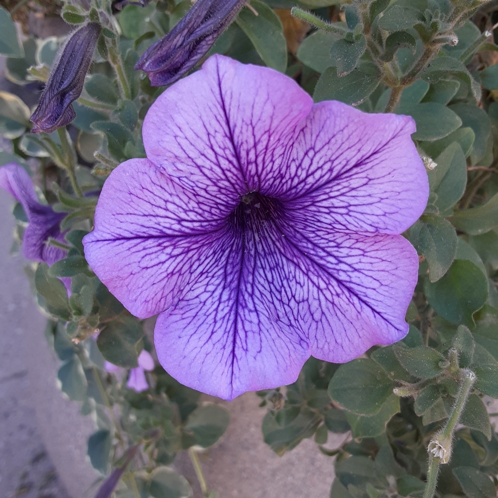 😊👠👠👗📿💄🕶 - Picture 4 of 7